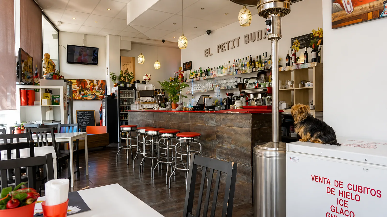 Sala i barra del restaurant El Petit Buda